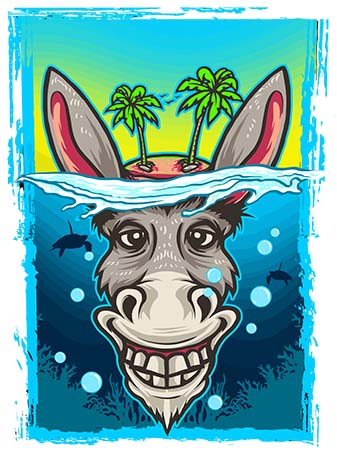 Donkey